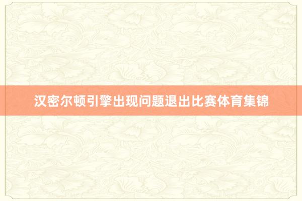 汉密尔顿引擎出现问题退出比赛体育集锦