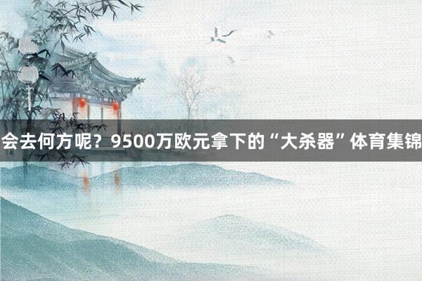 会去何方呢？9500万欧元拿下的“大杀器”体育集锦