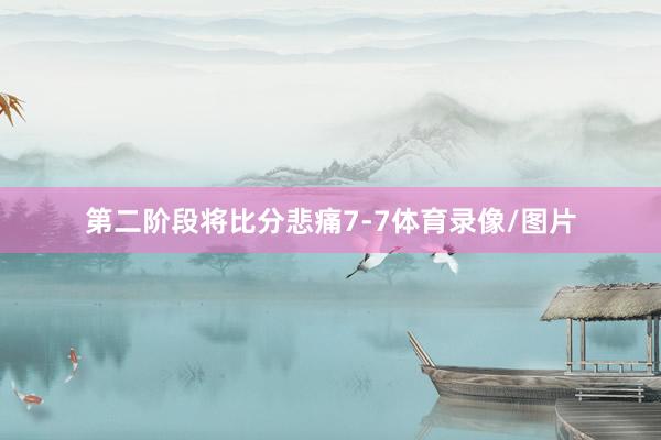 第二阶段将比分悲痛7-7体育录像/图片