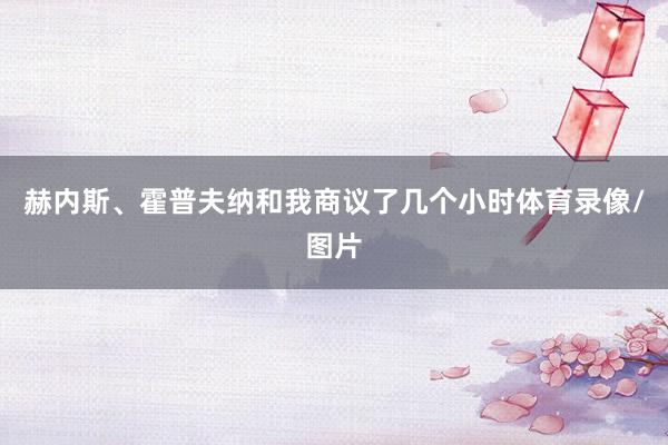 赫内斯、霍普夫纳和我商议了几个小时体育录像/图片