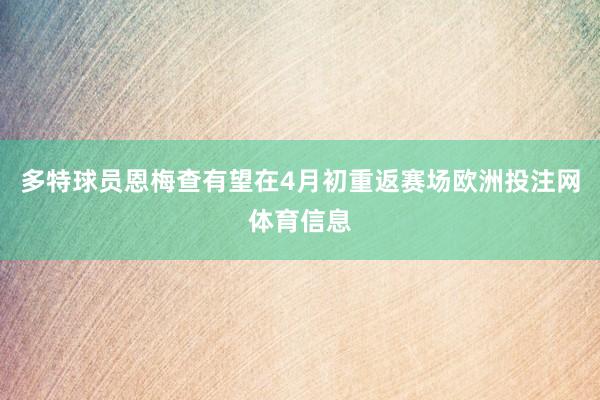 多特球员恩梅查有望在4月初重返赛场欧洲投注网体育信息