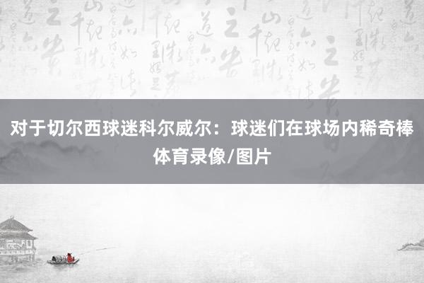 对于切尔西球迷科尔威尔：球迷们在球场内稀奇棒体育录像/图片