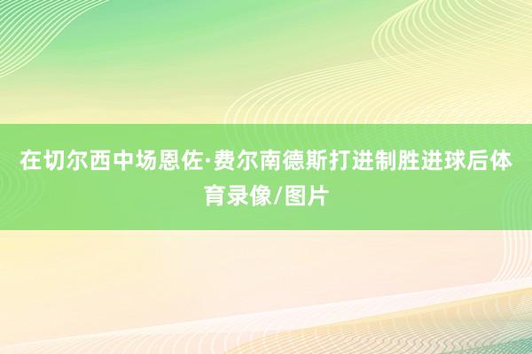 在切尔西中场恩佐·费尔南德斯打进制胜进球后体育录像/图片