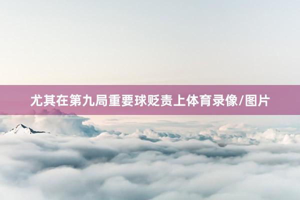 尤其在第九局重要球贬责上体育录像/图片