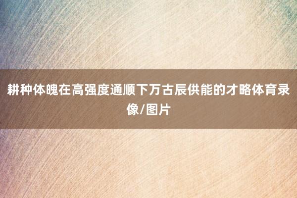 耕种体魄在高强度通顺下万古辰供能的才略体育录像/图片