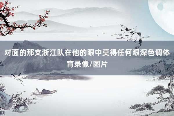 对面的那支浙江队在他的眼中莫得任何艰深色调体育录像/图片