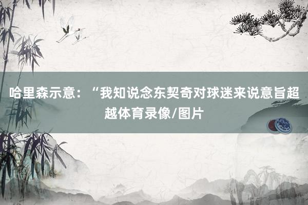 哈里森示意：“我知说念东契奇对球迷来说意旨超越体育录像/图片