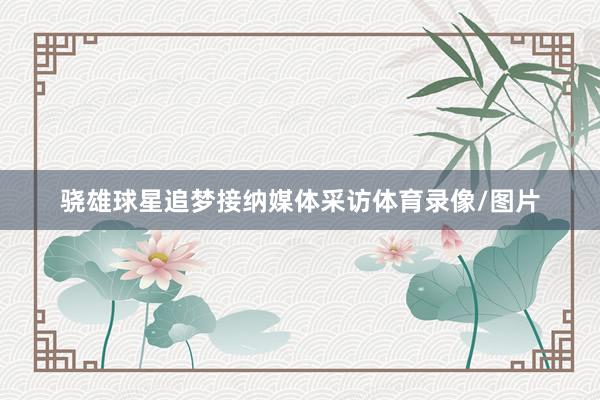 骁雄球星追梦接纳媒体采访体育录像/图片