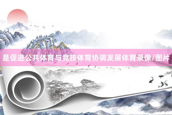 是促进公共体育与竞技体育协调发展体育录像/图片