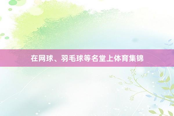 在网球、羽毛球等名堂上体育集锦