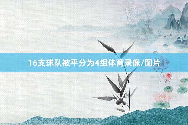 16支球队被平分为4组体育录像/图片