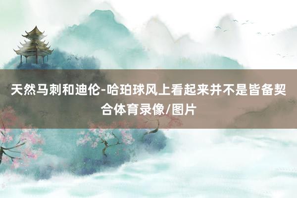 天然马刺和迪伦-哈珀球风上看起来并不是皆备契合体育录像/图片