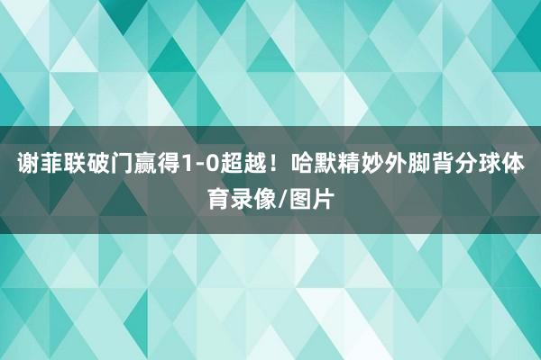 谢菲联破门赢得1-0超越！哈默精妙外脚背分球体育录像/图片