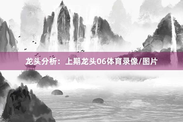 龙头分析：　　上期龙头06体育录像/图片