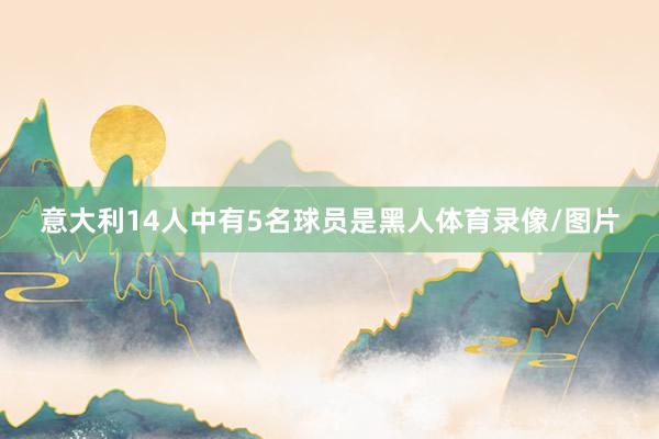 意大利14人中有5名球员是黑人体育录像/图片