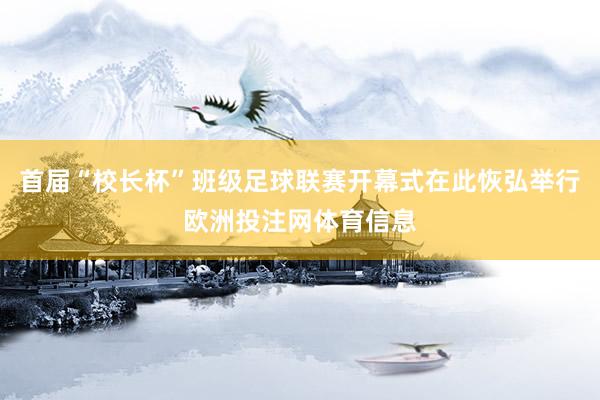 首届“校长杯”班级足球联赛开幕式在此恢弘举行欧洲投注网体育信息
