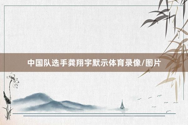 中国队选手龚翔宇默示体育录像/图片