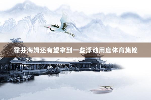 霍芬海姆还有望拿到一些浮动用度体育集锦