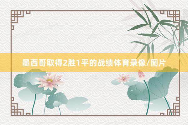 墨西哥取得2胜1平的战绩体育录像/图片