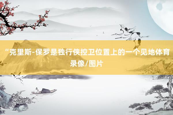 “克里斯-保罗是独行侠控卫位置上的一个见地体育录像/图片