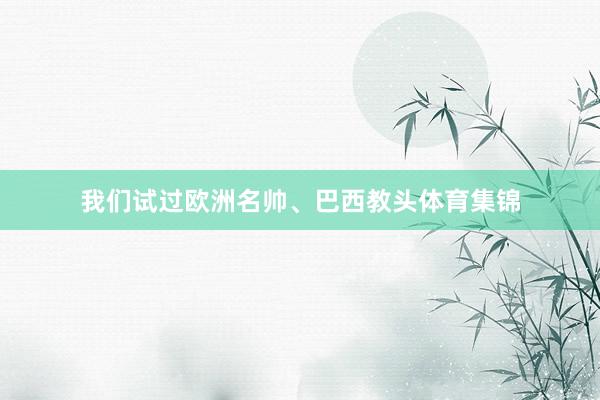 我们试过欧洲名帅、巴西教头体育集锦