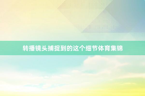 转播镜头捕捉到的这个细节体育集锦