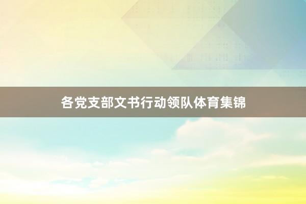 各党支部文书行动领队体育集锦