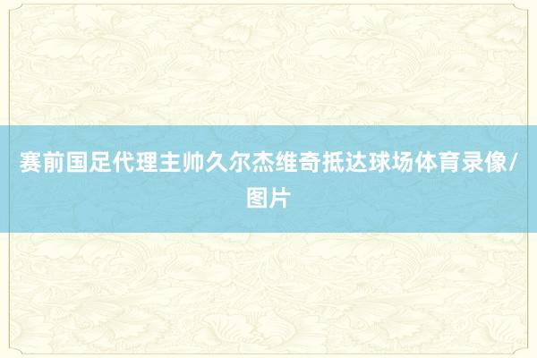 赛前国足代理主帅久尔杰维奇抵达球场体育录像/图片