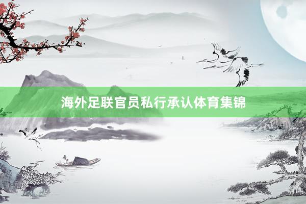 海外足联官员私行承认体育集锦