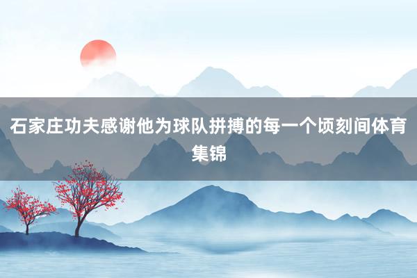 石家庄功夫感谢他为球队拼搏的每一个顷刻间体育集锦