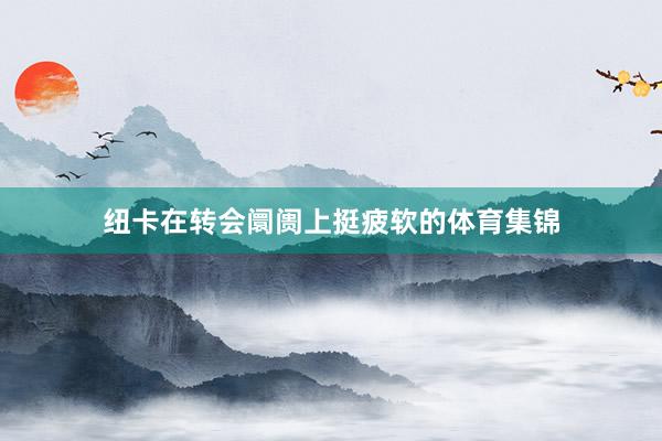 纽卡在转会阛阓上挺疲软的体育集锦