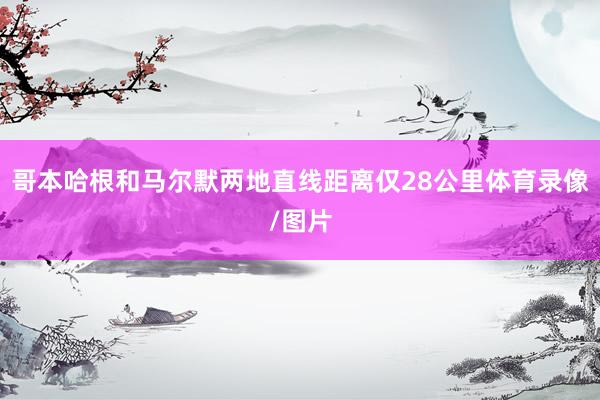 哥本哈根和马尔默两地直线距离仅28公里体育录像/图片