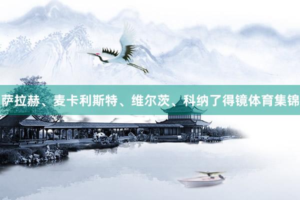 萨拉赫、麦卡利斯特、维尔茨、科纳了得镜体育集锦