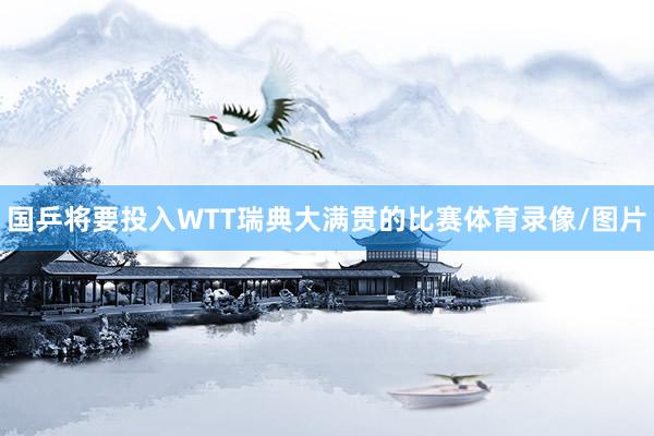 国乒将要投入WTT瑞典大满贯的比赛体育录像/图片
