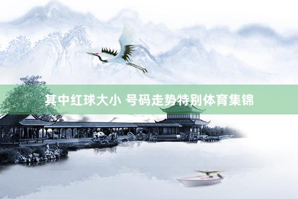 其中红球大小 号码走势特别体育集锦