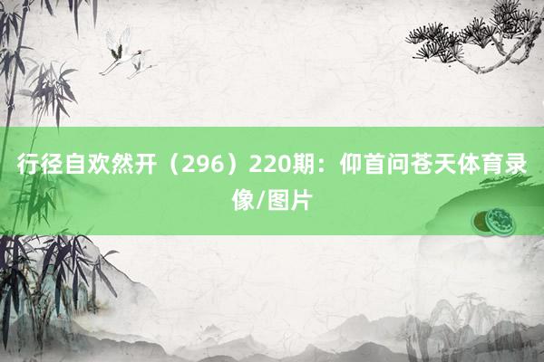 行径自欢然开（296）　　220期：仰首问苍天体育录像/图片