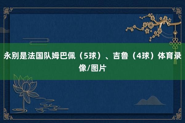 永别是法国队姆巴佩（5球）、吉鲁（4球）体育录像/图片