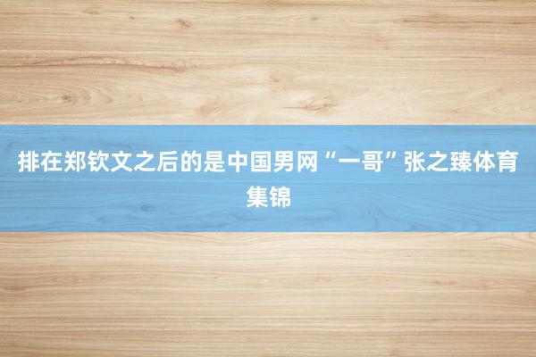排在郑钦文之后的是中国男网“一哥”张之臻体育集锦