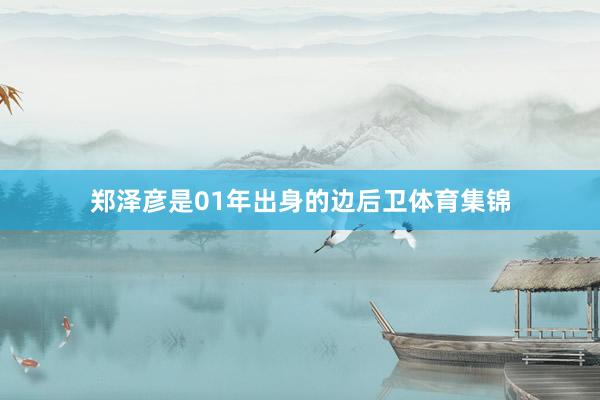 郑泽彦是01年出身的边后卫体育集锦