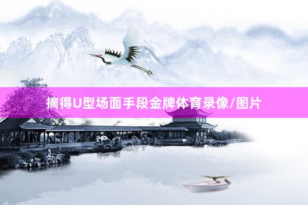 摘得U型场面手段金牌体育录像/图片