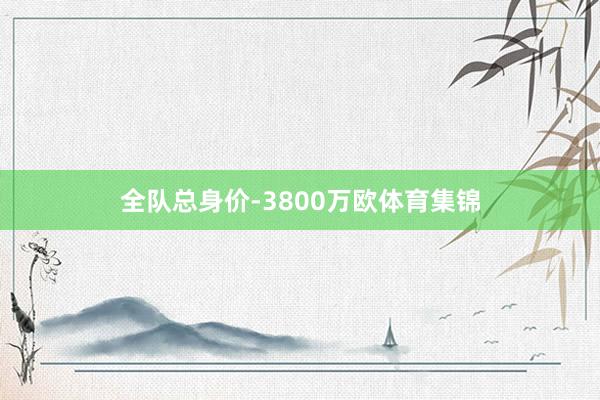 全队总身价-3800万欧体育集锦