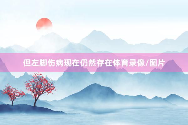 但左脚伤病现在仍然存在体育录像/图片