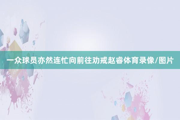 一众球员亦然连忙向前往劝戒赵睿体育录像/图片