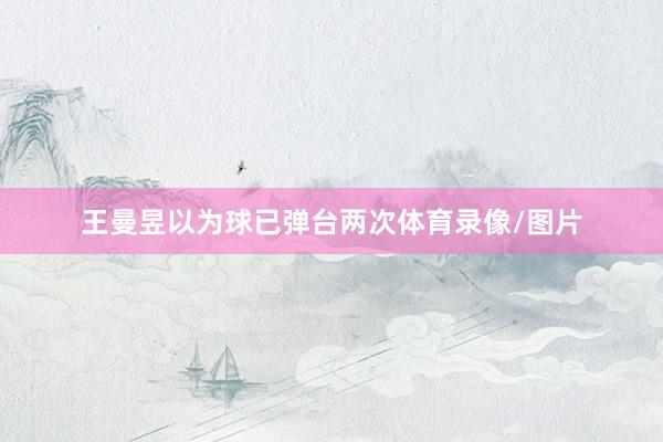 王曼昱以为球已弹台两次体育录像/图片