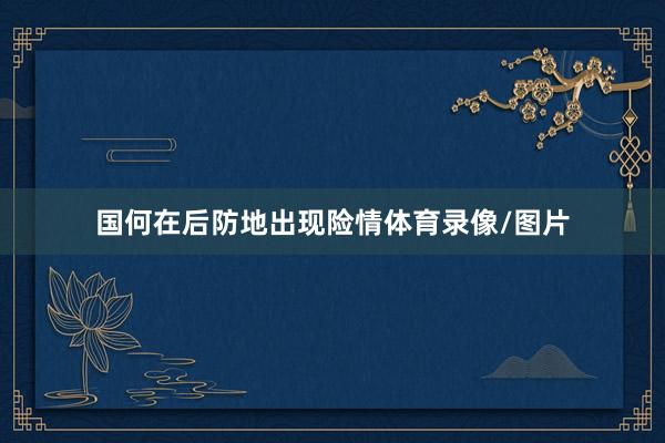 国何在后防地出现险情体育录像/图片