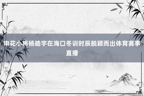 申花小将杨皓宇在海口冬训时辰脱颖而出体育赛事直播