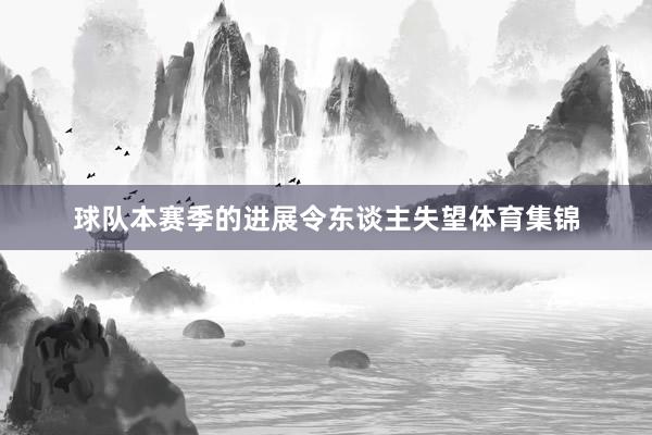球队本赛季的进展令东谈主失望体育集锦