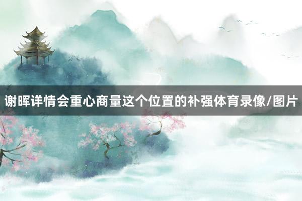 谢晖详情会重心商量这个位置的补强体育录像/图片