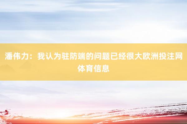 潘伟力：我认为驻防端的问题已经很大欧洲投注网体育信息