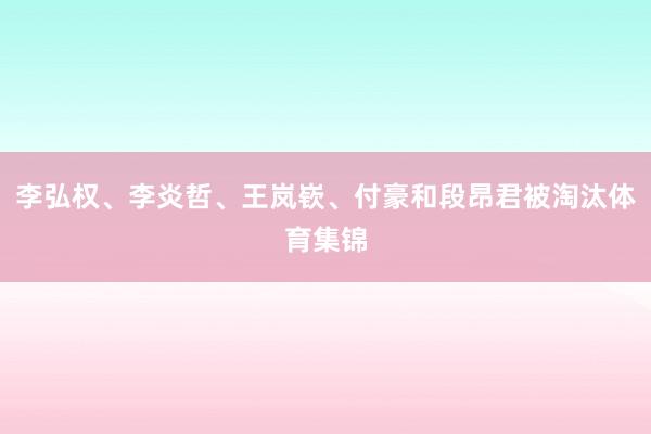 李弘权、李炎哲、王岚嵚、付豪和段昂君被淘汰体育集锦